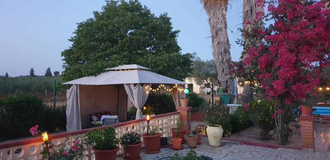 Finca-Vallestares ألمونتي المظهر الخارجي الصورة